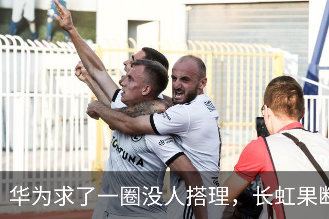 华为求了一圈没人搭理，长虹果断接盘